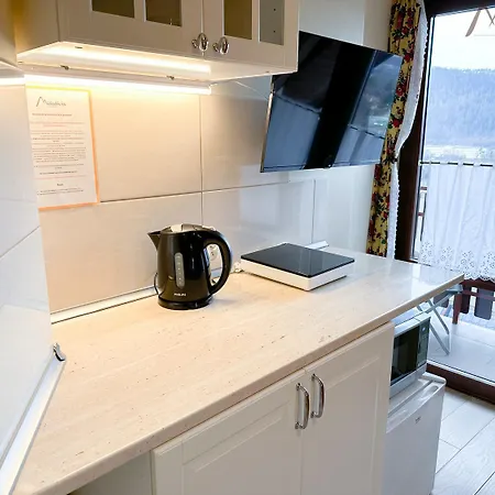 Kwatera prywatna Michalowka Attic