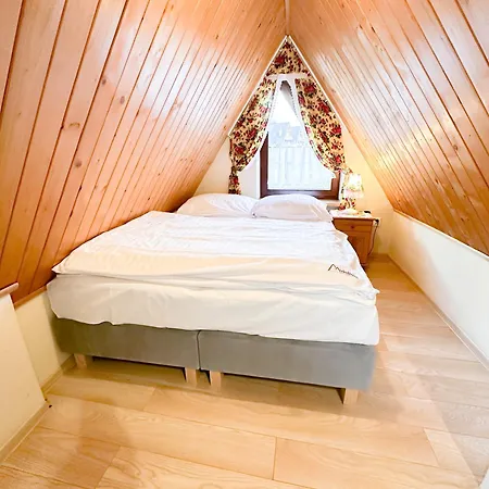 Kwatera prywatna Michalowka Attic